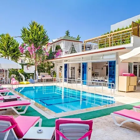 Merve Butik * דידים